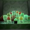 BOUTIQ SWITCH GLOW